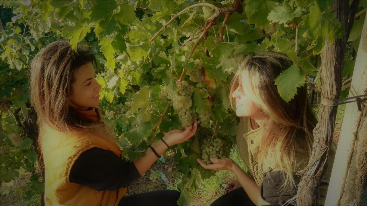 Agriturismo Al Credazzo 파라디솔리고 외부 사진