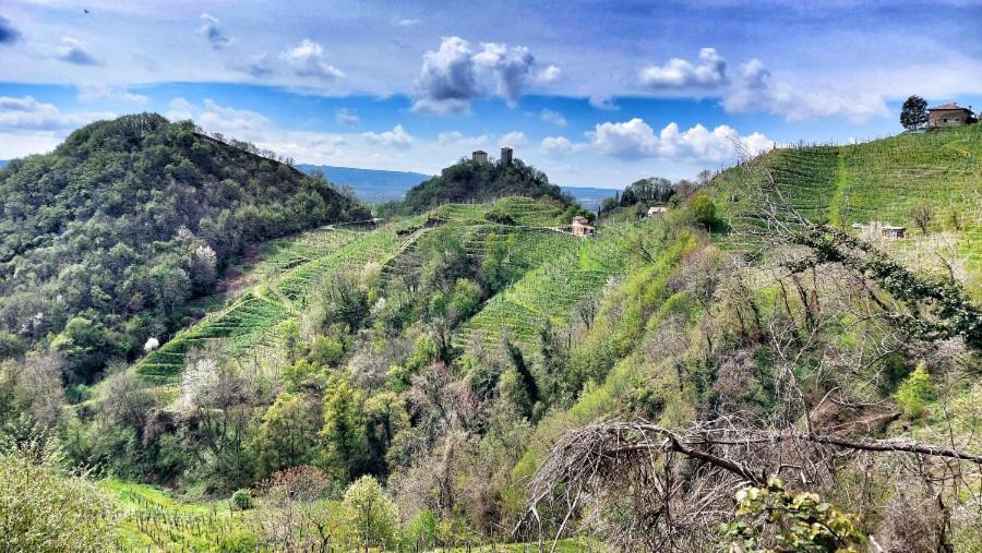 Agriturismo Al Credazzo 파라디솔리고 외부 사진