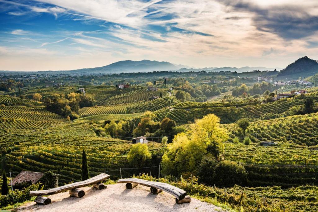 Agriturismo Al Credazzo 파라디솔리고 외부 사진