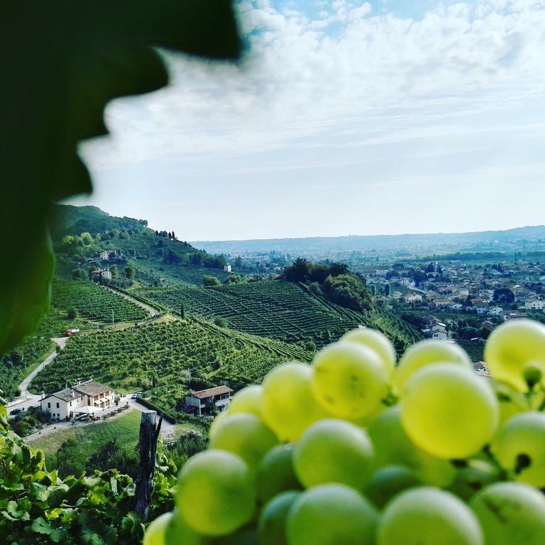 Agriturismo Al Credazzo 파라디솔리고 외부 사진