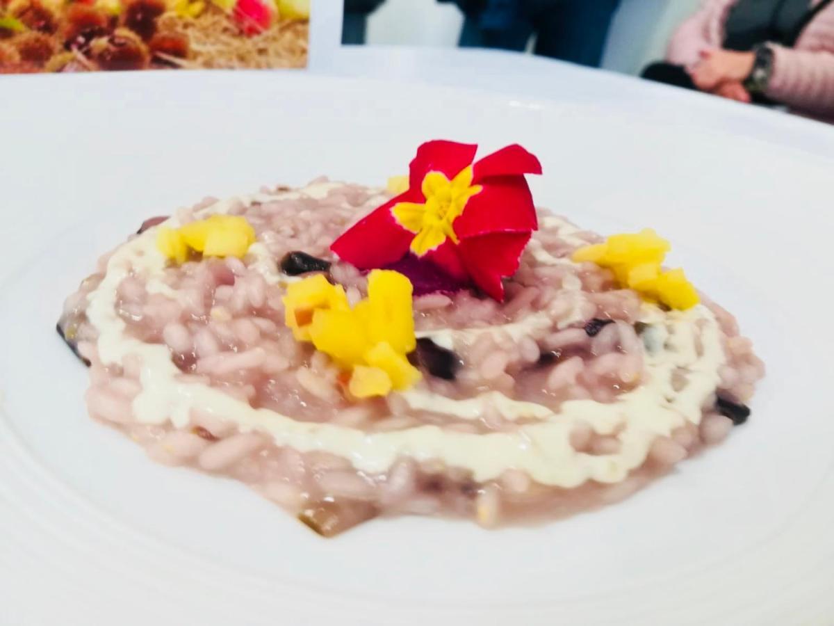Agriturismo Al Credazzo 파라디솔리고 외부 사진